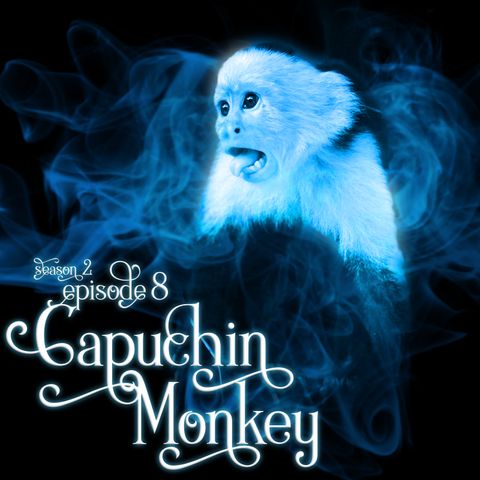 S2E8: Capuchin