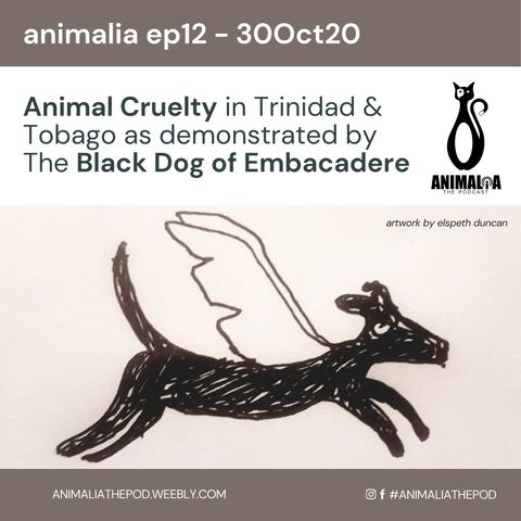ANIMALIA 12 - Animal Cruelty in TT - 30Oct20