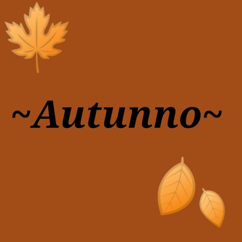 #Torino Le foglie che cadono e le vibes che arrivano!