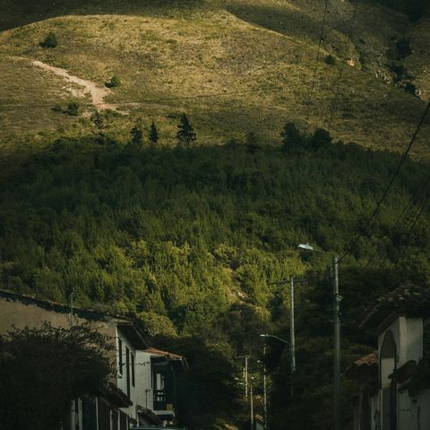 Trajectory