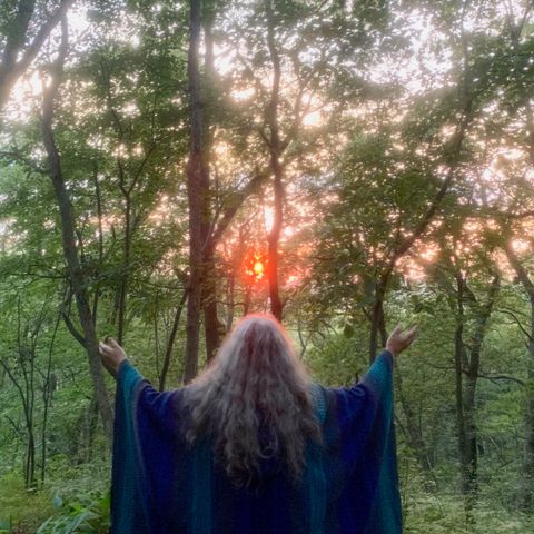 Greenwood Magic