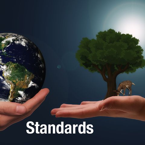Steady under Load: Standards