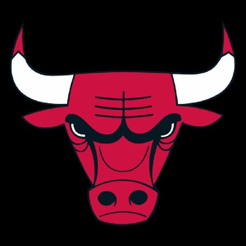 Chicago Bulls: Rebuild Everything!