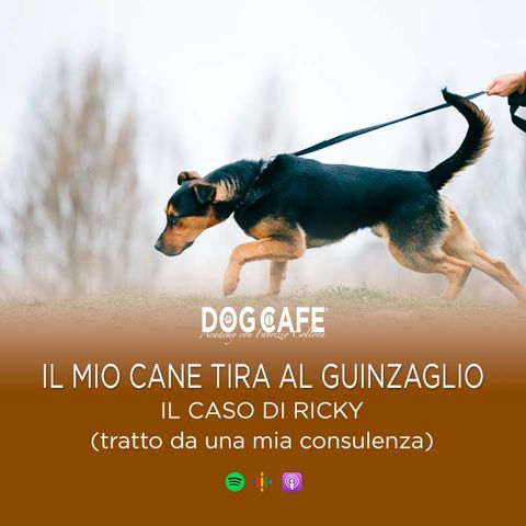 113 - Il mio cane tira al guinzaglio - Il caso di Ricky (tratto da una mia consulenza)