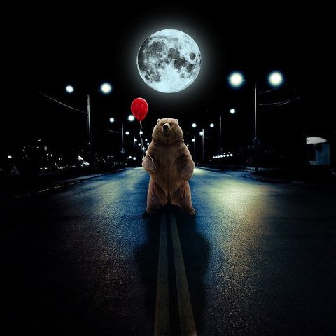 #28 - A Bear on the Moon