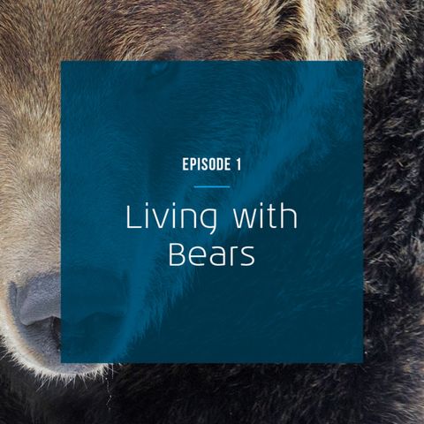 Living with bears
