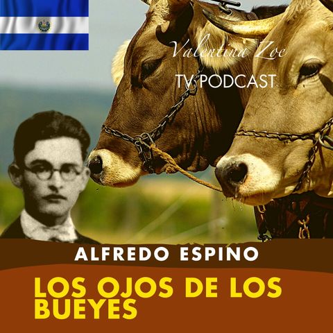 LOS OJOS DE LOS BUEYES ALFREDO ESPINO🐂👀 | Poema Los Ojos de Los Bueyes Alfredo Espino Valentina Zoe