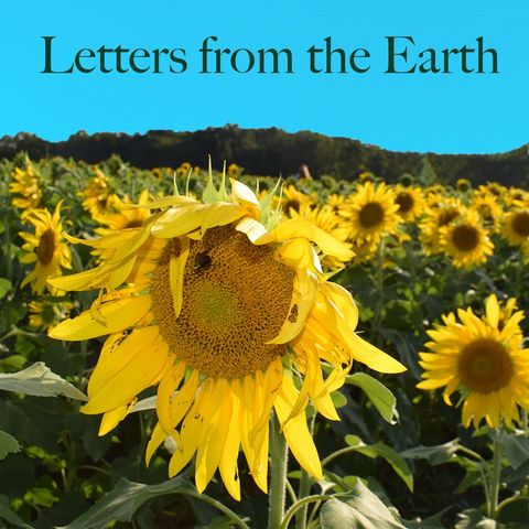 A Letter from the Earth on Listening