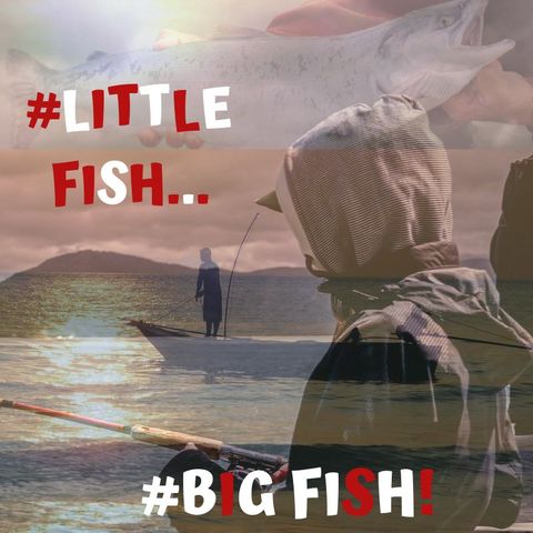 #LITTLE FISH - #BIG FISH!