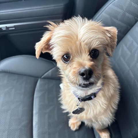 Safety Meditation