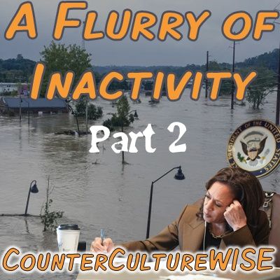 A Flurry of Inactivity Part 2