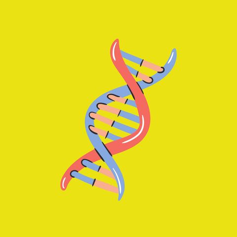 Le mutazioni del gene BRCA
