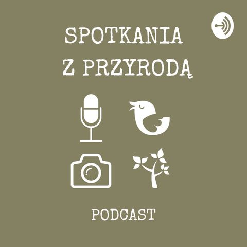 Odcinek 009 - Tomasz Przybyliński i obserwowanie ptaków - cz.1