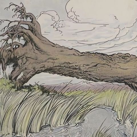 De Eik en het Riet | Aesopus Fabels