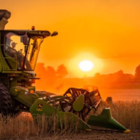 HARVEST TIME