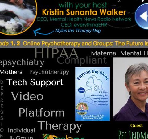 Online Psychotherapy and Groups: Telemental Health with Dr. Pec Indman 1.2