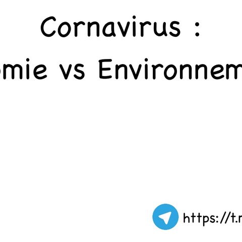 Coronavirus et Environnement : Quelles leçons en tirer ?