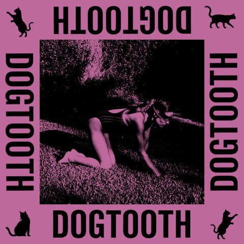 82 - Dogtooth (2009)