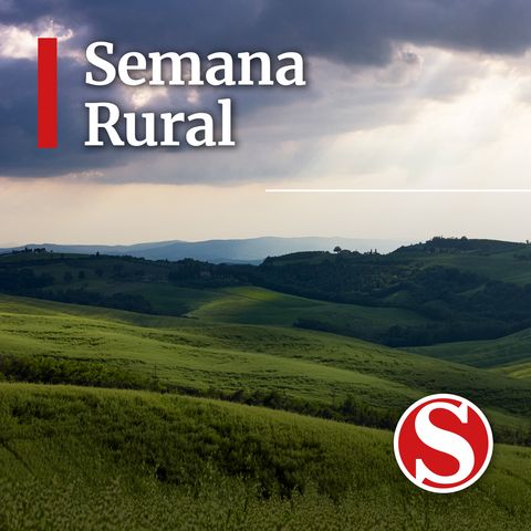 ¿Cuál es la situación de la mujer rural en Colombia?