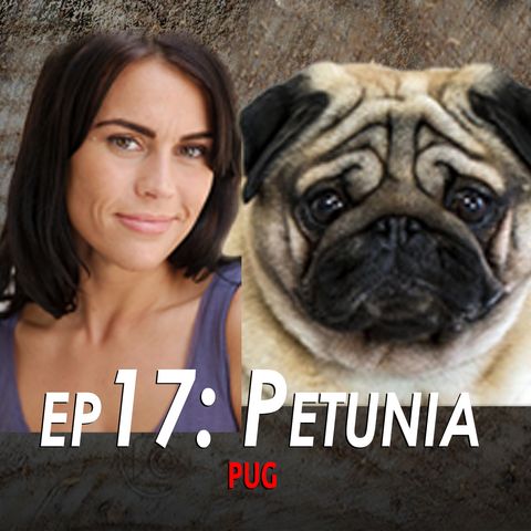 17 - Petunia the Pug