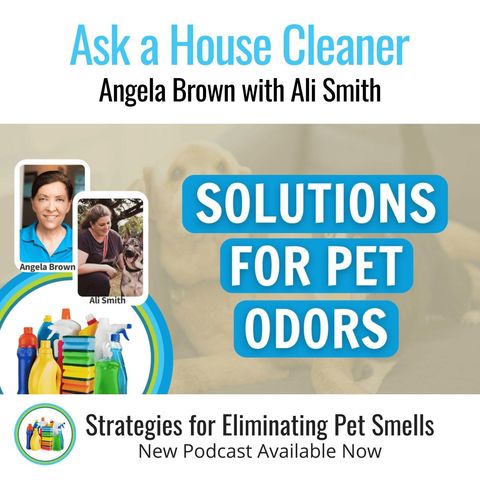 Winning The Battle Against Pet Odors With Ali Smith