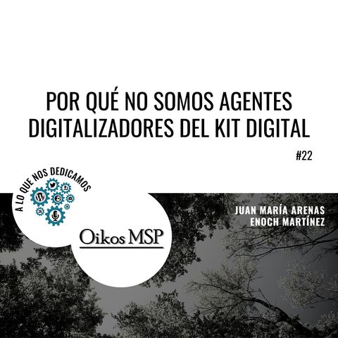 Por qué no somos agentes digitalizadores del Kit Digital #22