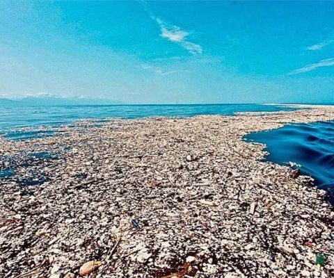 Giornata mondiale dell’Ambiente, Wwf: “Allarme plastica. I danni sono quasi irreversibili”