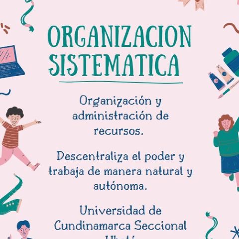 Organizacion Sistemática