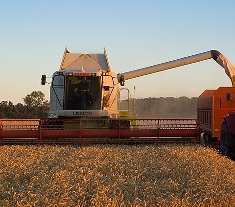 Agricoltura sostenibile, la Danimarca scommette sul biochar