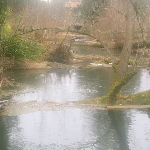 River Reichhoff
