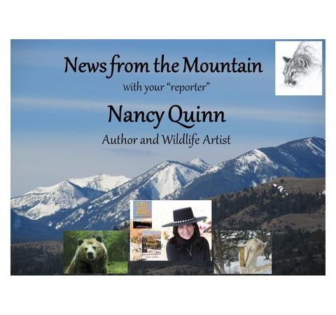 News From The Mountain with Author Nancy Quinn