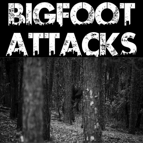 Bigfoot Attacks