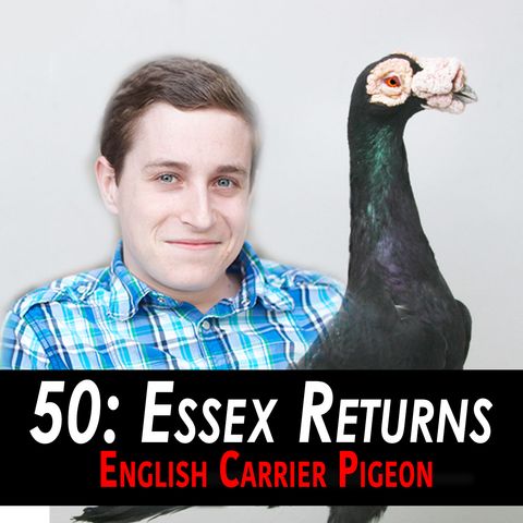 50 - Essex Returns