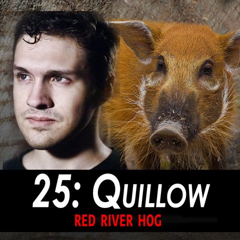25 - Quillow the Red River Hog