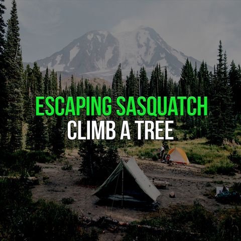 Escaping Sasquatch