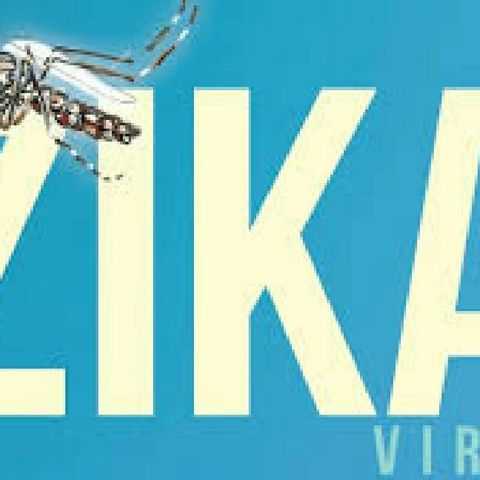 El Zika Y Porqué Nos Enamoramos