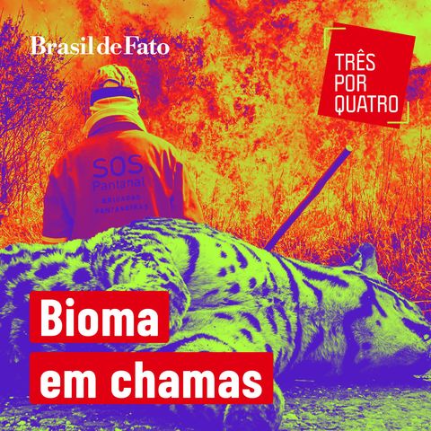 #35 Queimadas no Pantanal: recuperação do bioma passa por integração governamental