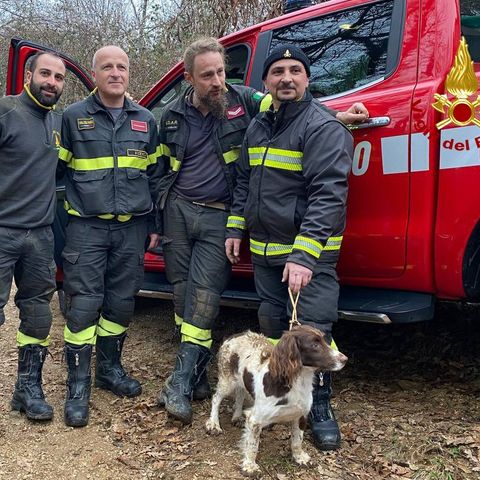 Cagnolina salvata a Natale: era caduta in una grotta, un pompiere si cala e la recupera