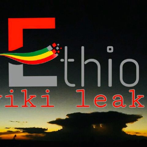 Ethio Wiki Leak's Podcast 1