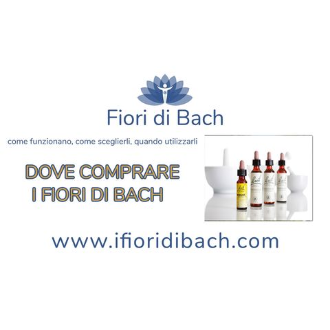 03-Dove-comprare-i-fiori-di-Bach