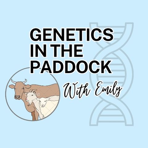 Unraveling Sheep Genetics Through Time with Dr. Andrew Swan