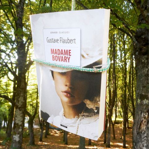 09-08-2024 Madame Bovary (Gustave Flaubert)