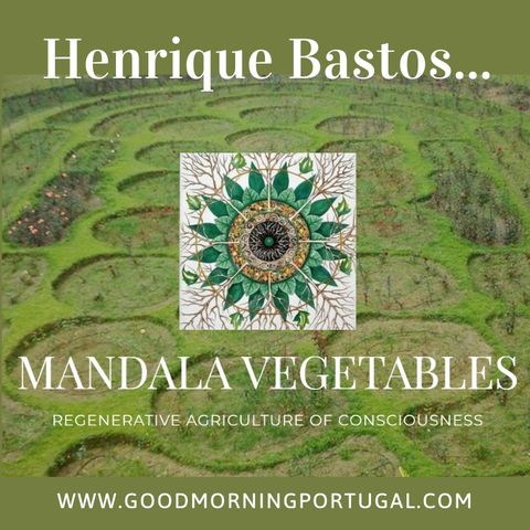 Portugal news, weather and the remarkable mandala gardens of Henrique Bastos