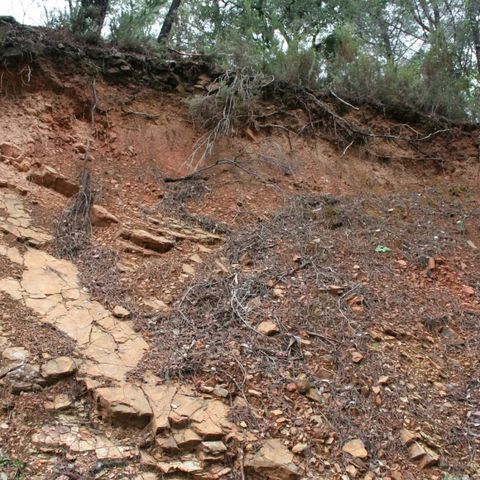 Il carbonio del sottosuolo è particolarmente vulnerabile al cambiamento climatico