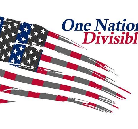 One Nation: Divisible