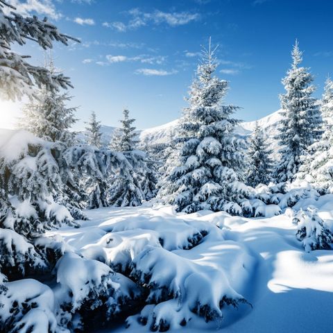 Il tempo della neve