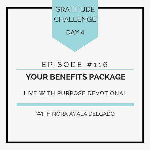 #116 GRATITUDE: Your Benefits Package