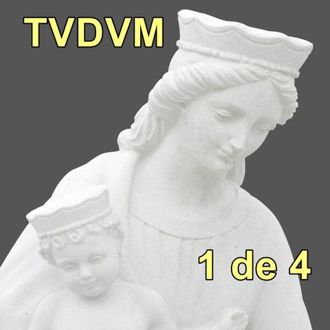 1 de 4 Meditaciones ACTUALES sobre el Tratado de la Verdadera Devoción a la Smma. Virgen