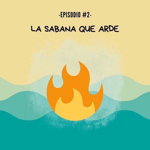 T2E2- La sabana que arde/ Sabanas inundables
