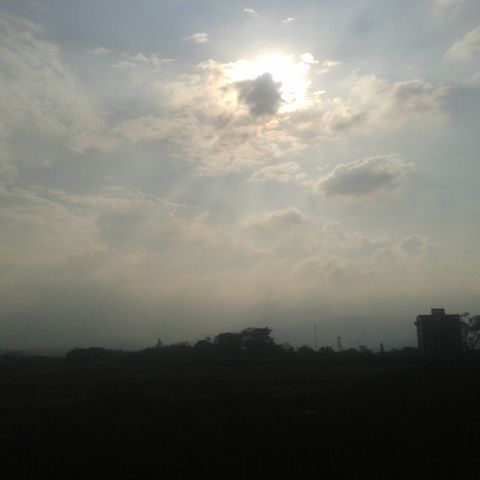 tardes de ocio